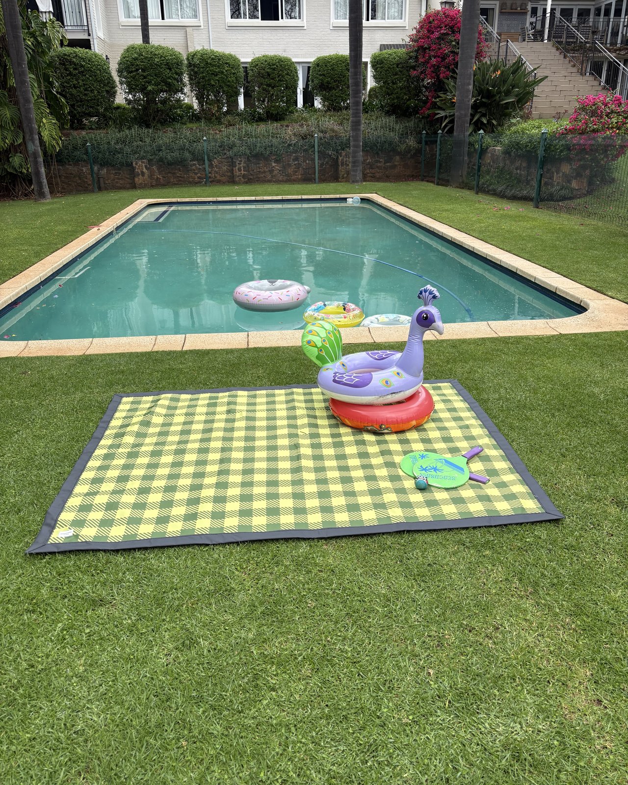 Light Green Gingham, photo 1