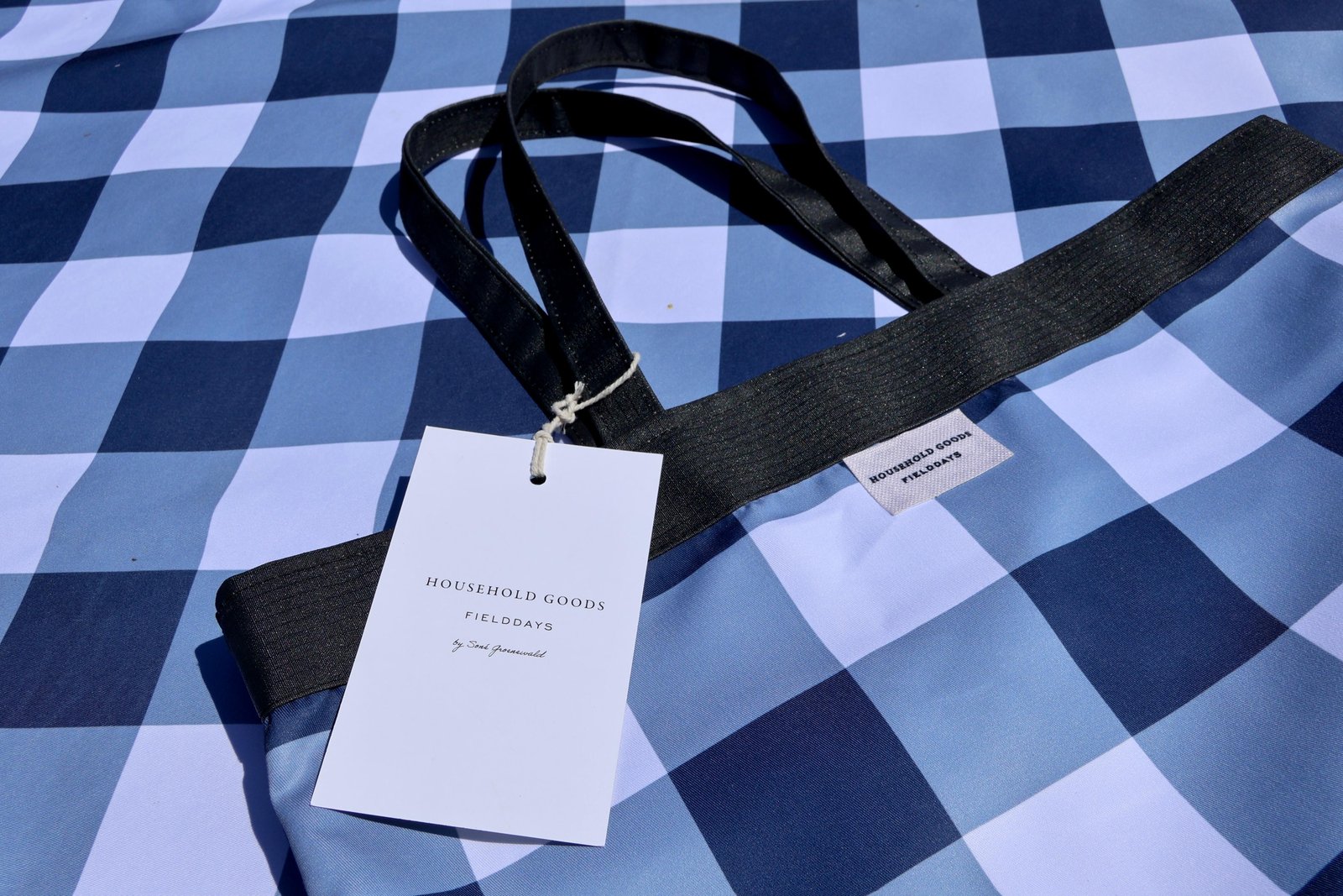Blue and White Gingham, photo 1