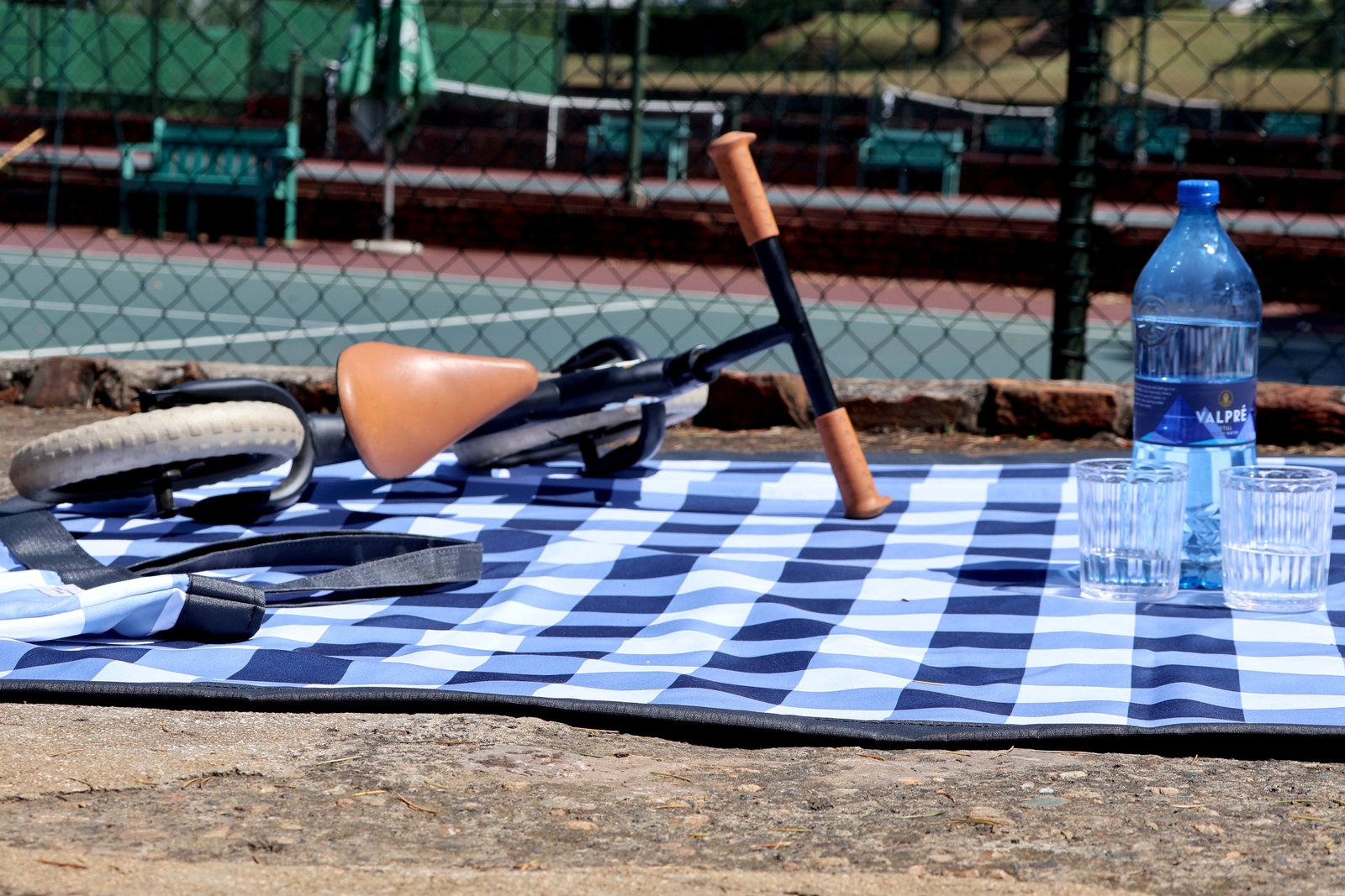 Blue and White Gingham, photo 3